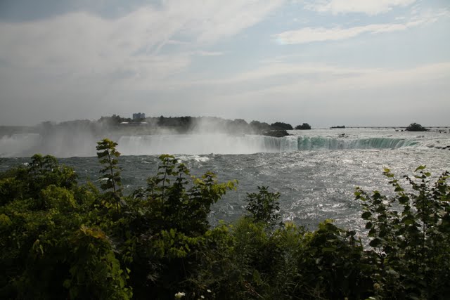IMG_9024.jpg