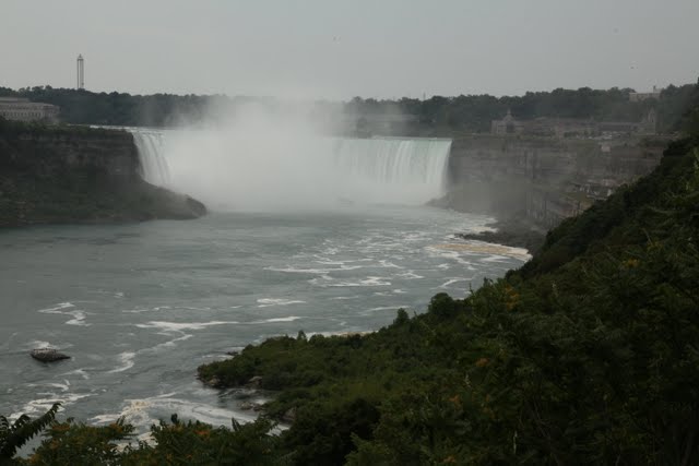 IMG_9036.jpg