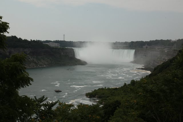 IMG_9037.jpg
