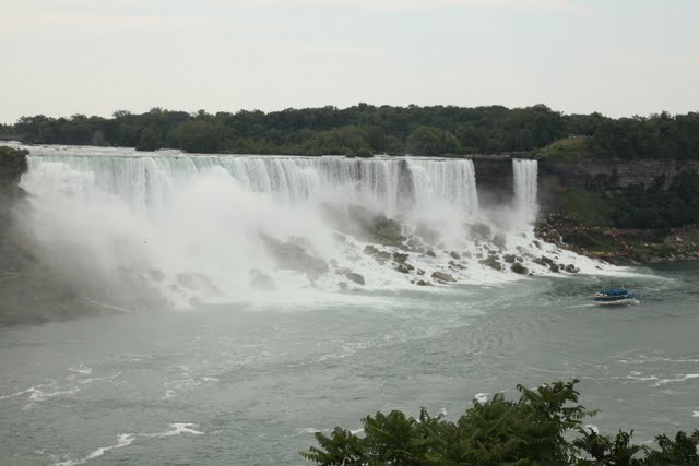 IMG_9040.jpg