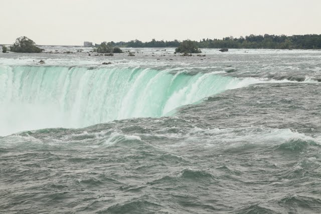 IMG_9047.jpg