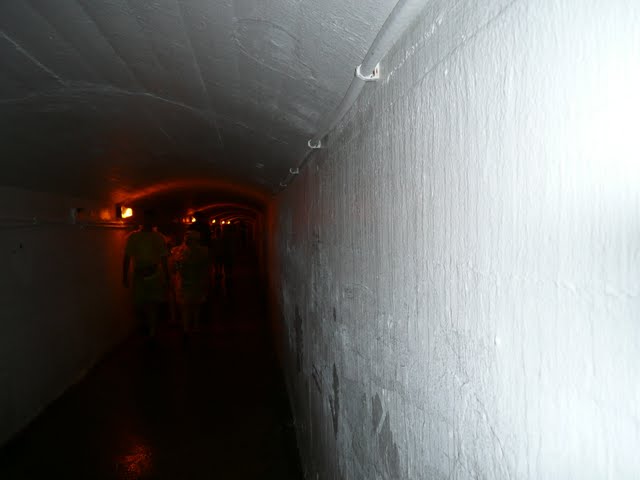 P1080045.jpg