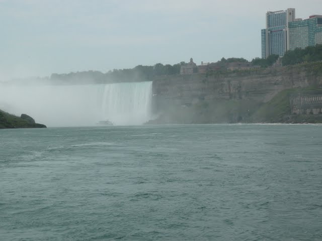 P1080054.jpg