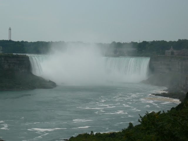 P1080060.jpg