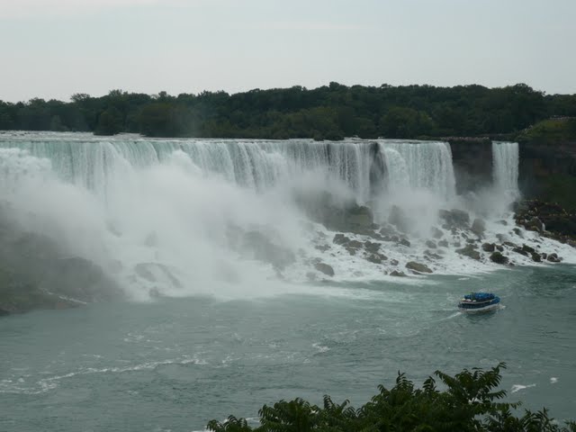 P1080062.jpg