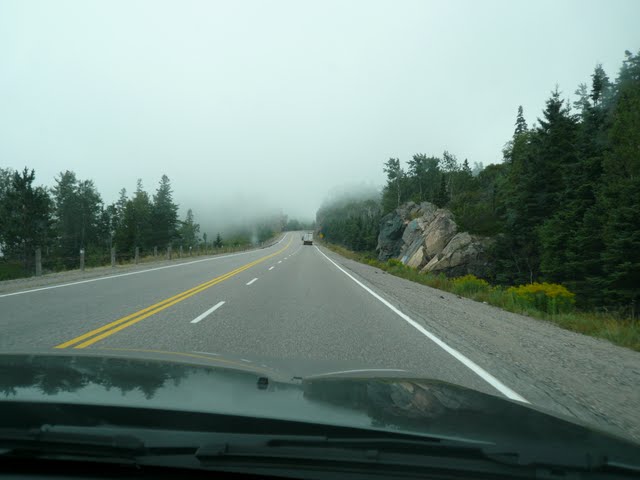 P1080099.jpg
