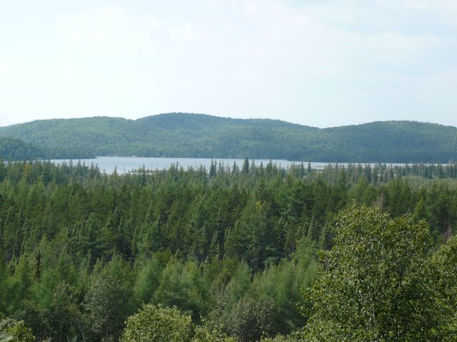 P1080118.jpg