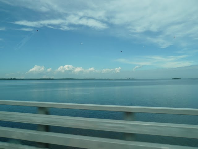 P1080131.jpg