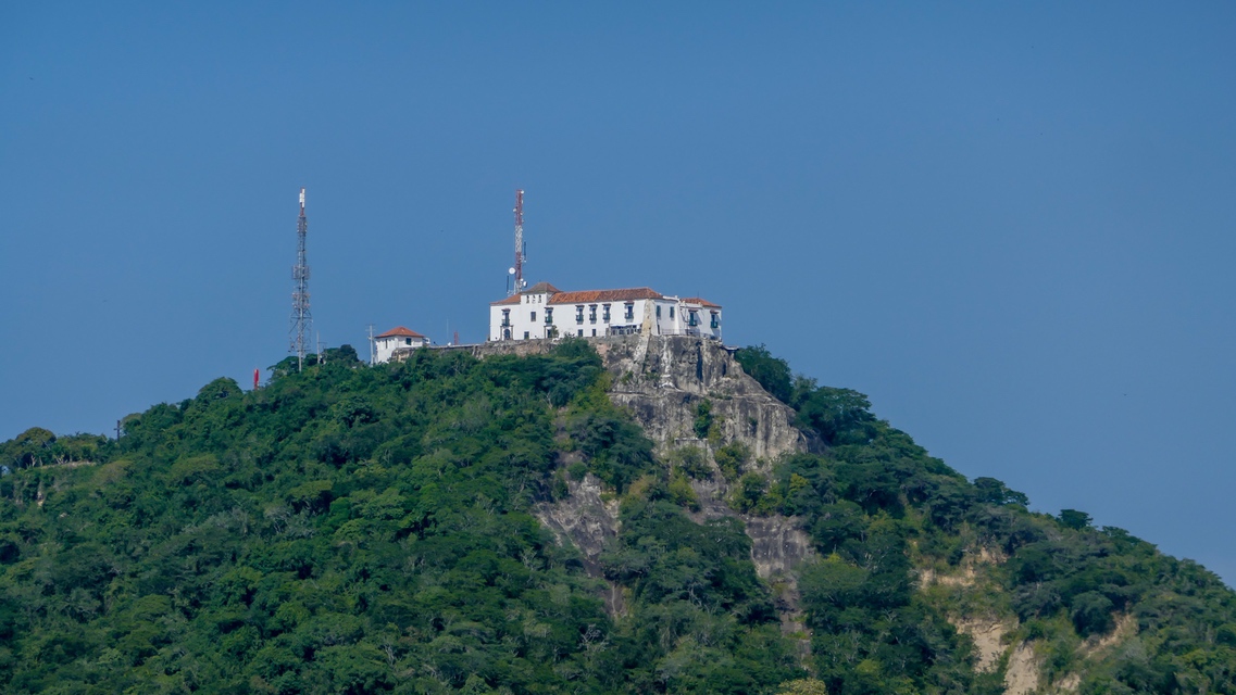 P1000440.jpg