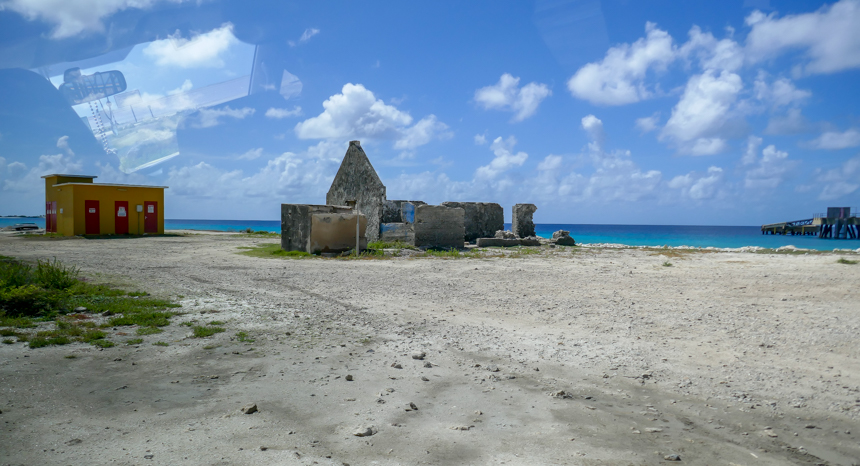 P1000600.jpg