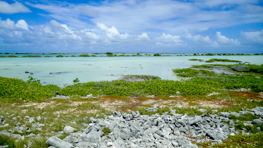 P1000615.jpg