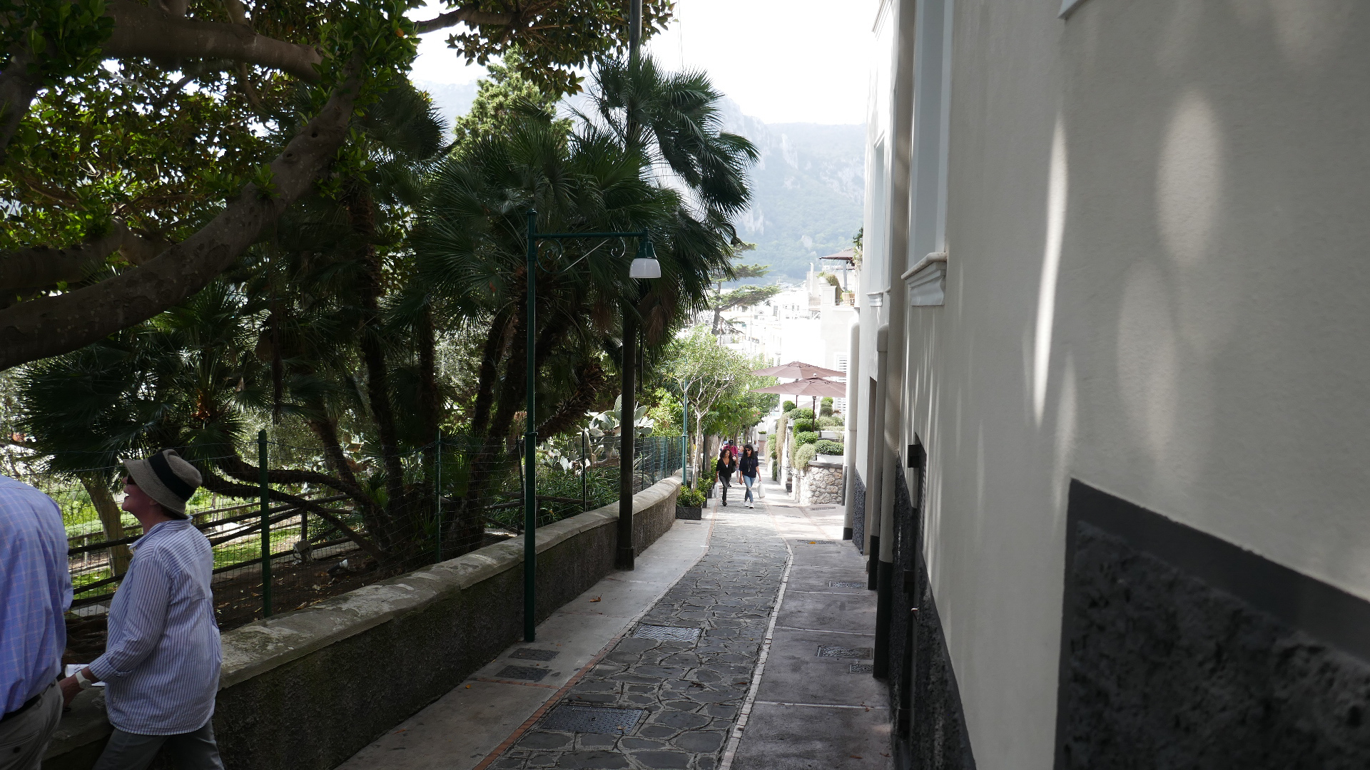 P1040003.jpg
