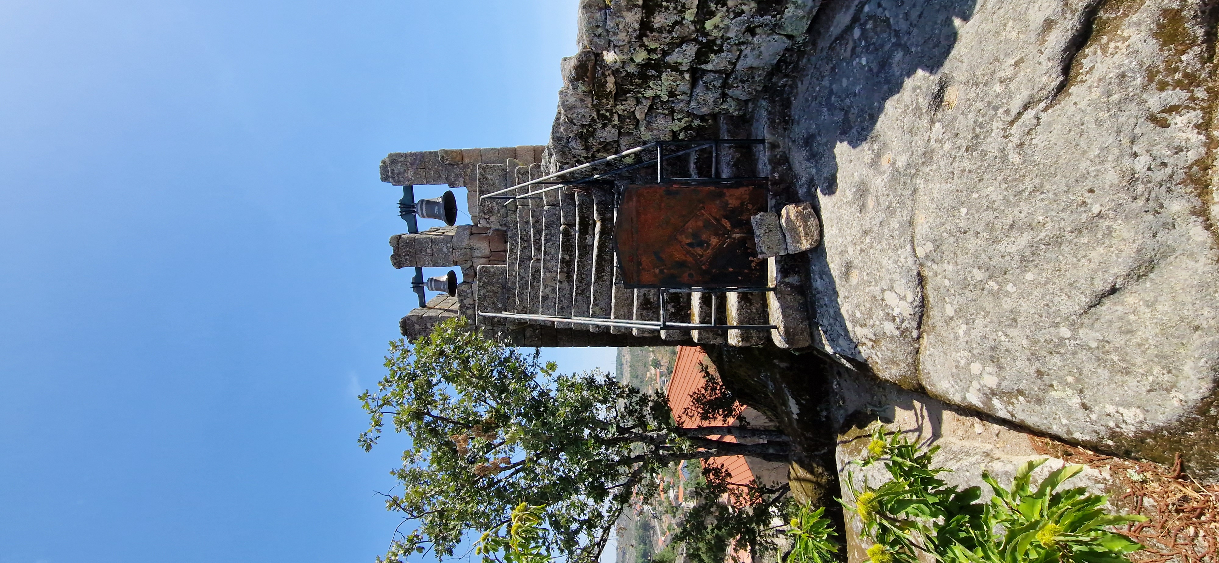 20230824_124208.jpg