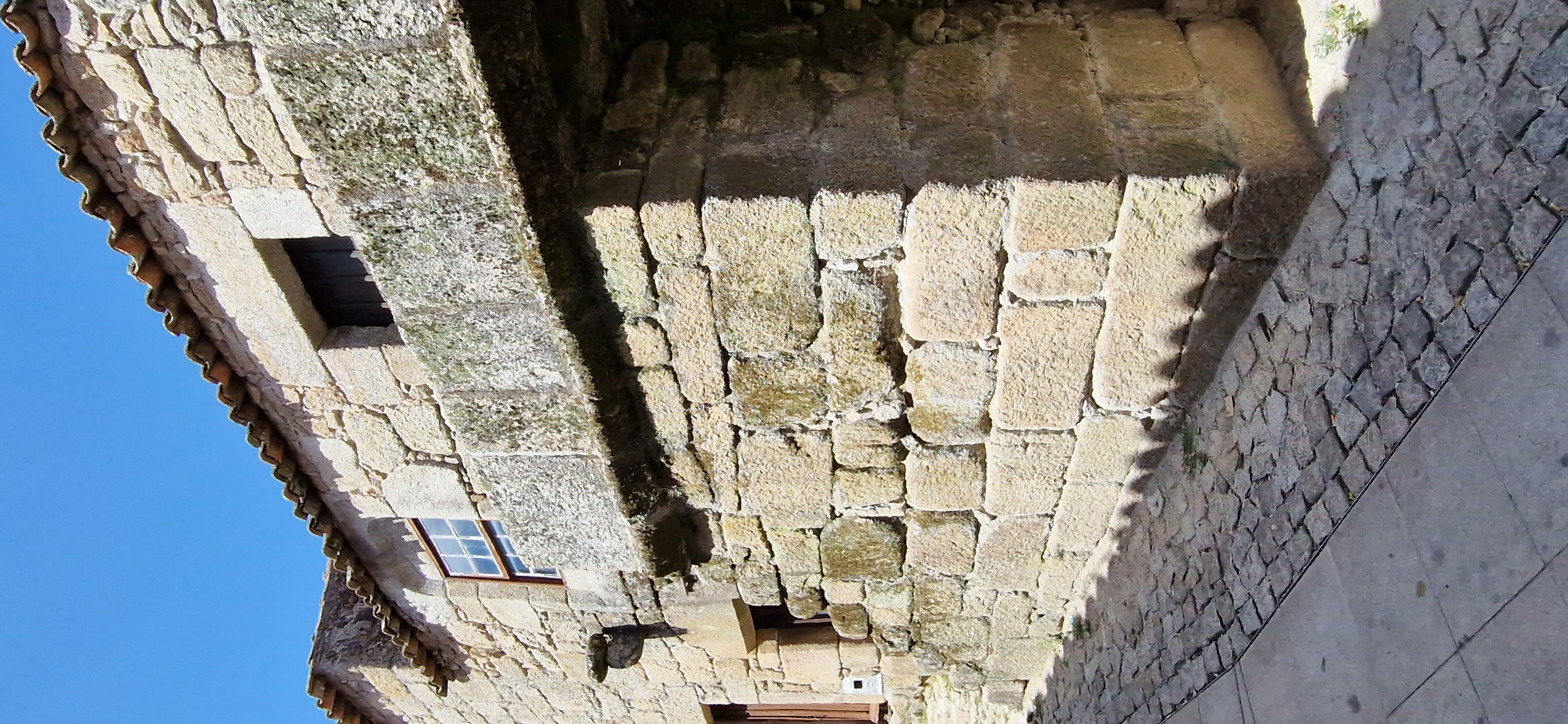 20230824_124816.jpg