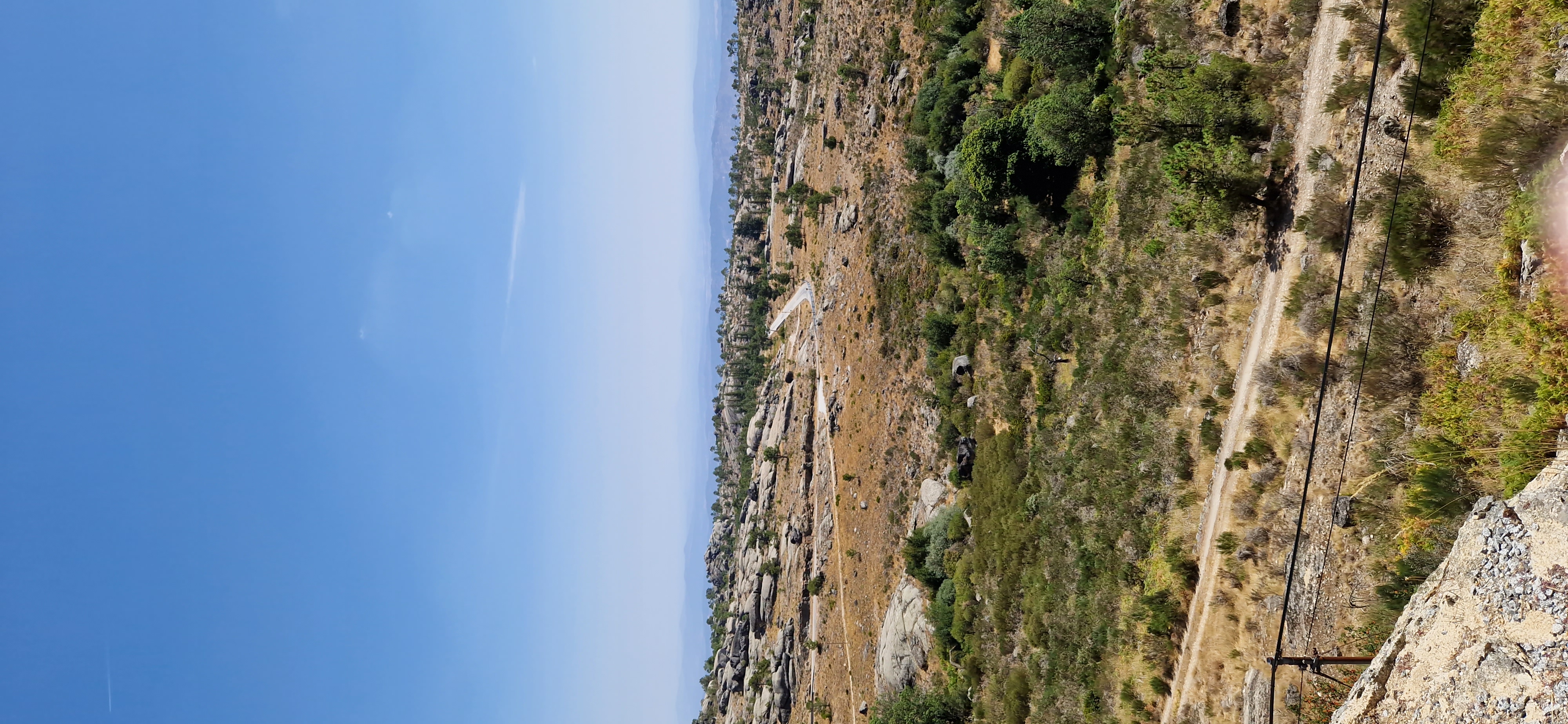 20230824_135125.jpg