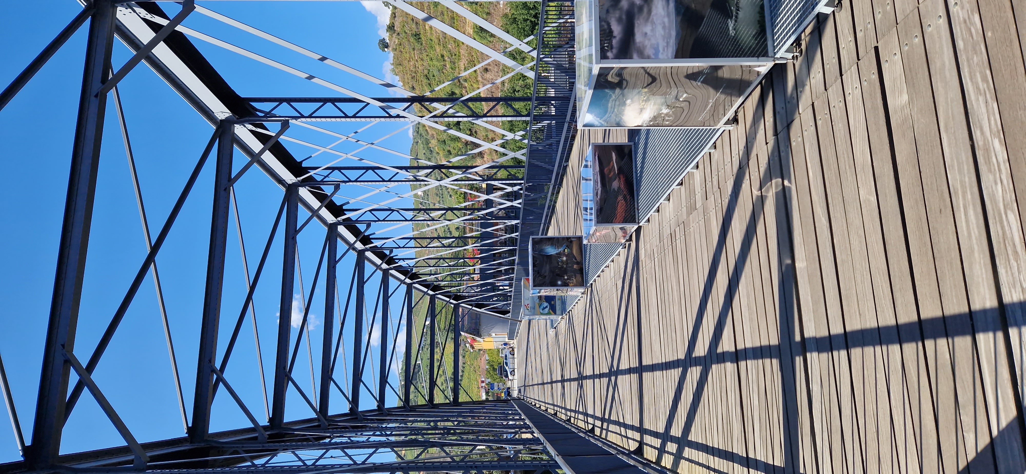 20230826_110644.jpg