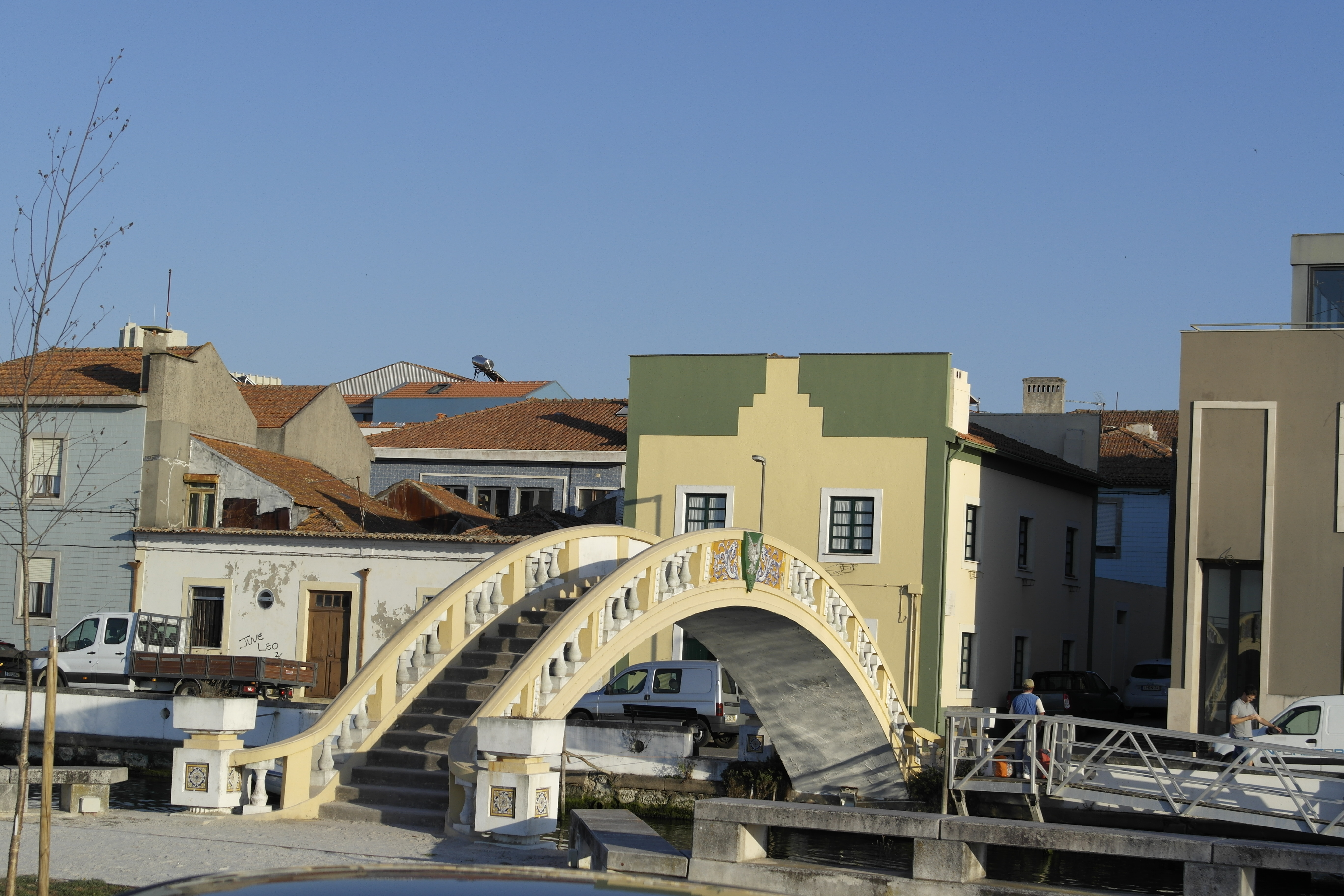 _1140061.JPG