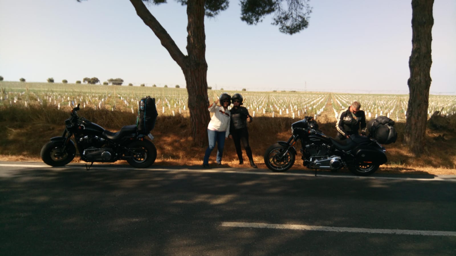 IMG-20180929-WA0004.jpg